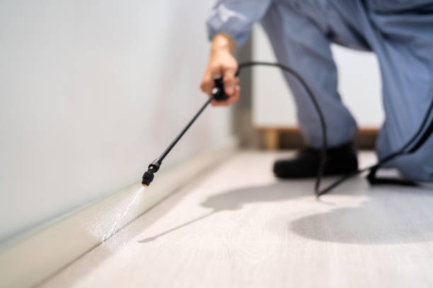 Bed Bug Pre-Treatment Preparation Assessment in Tremonton