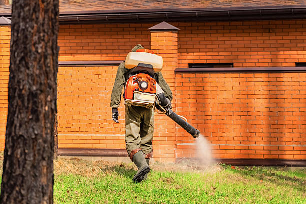 Bed Bug Clearance Verification and Documentation in Tremonton